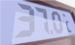 Hitzewelle: Hitzewelle trifft Wirtschaft