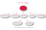 Emotionale Intelligenz: Emotionale Intelligenz - Klugheit der Gef�hle